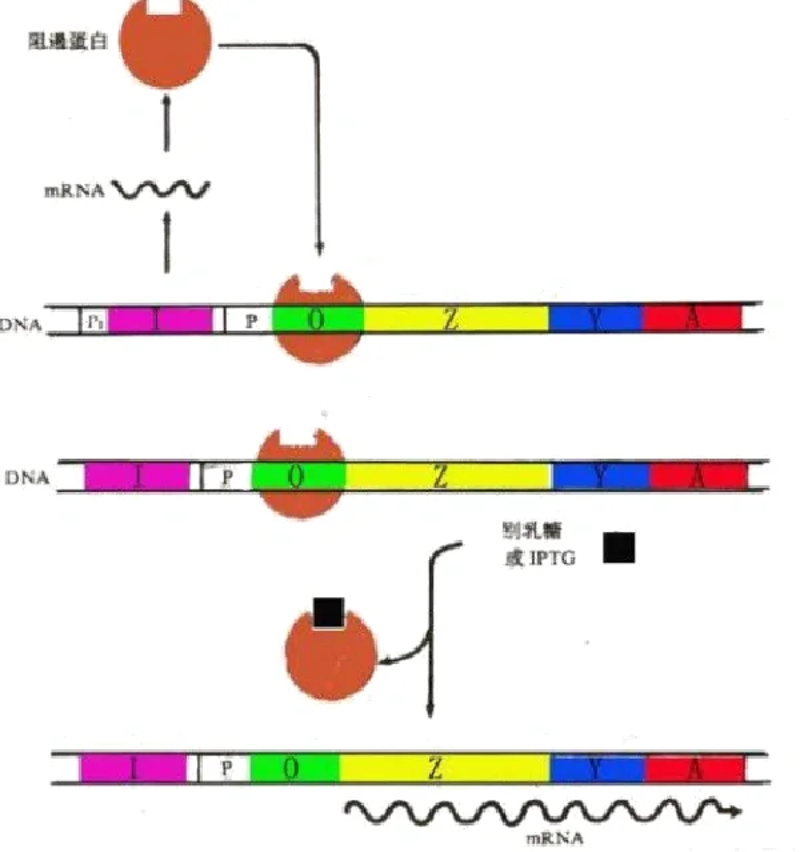 检验检疫技术中心：未来之路在哪？
