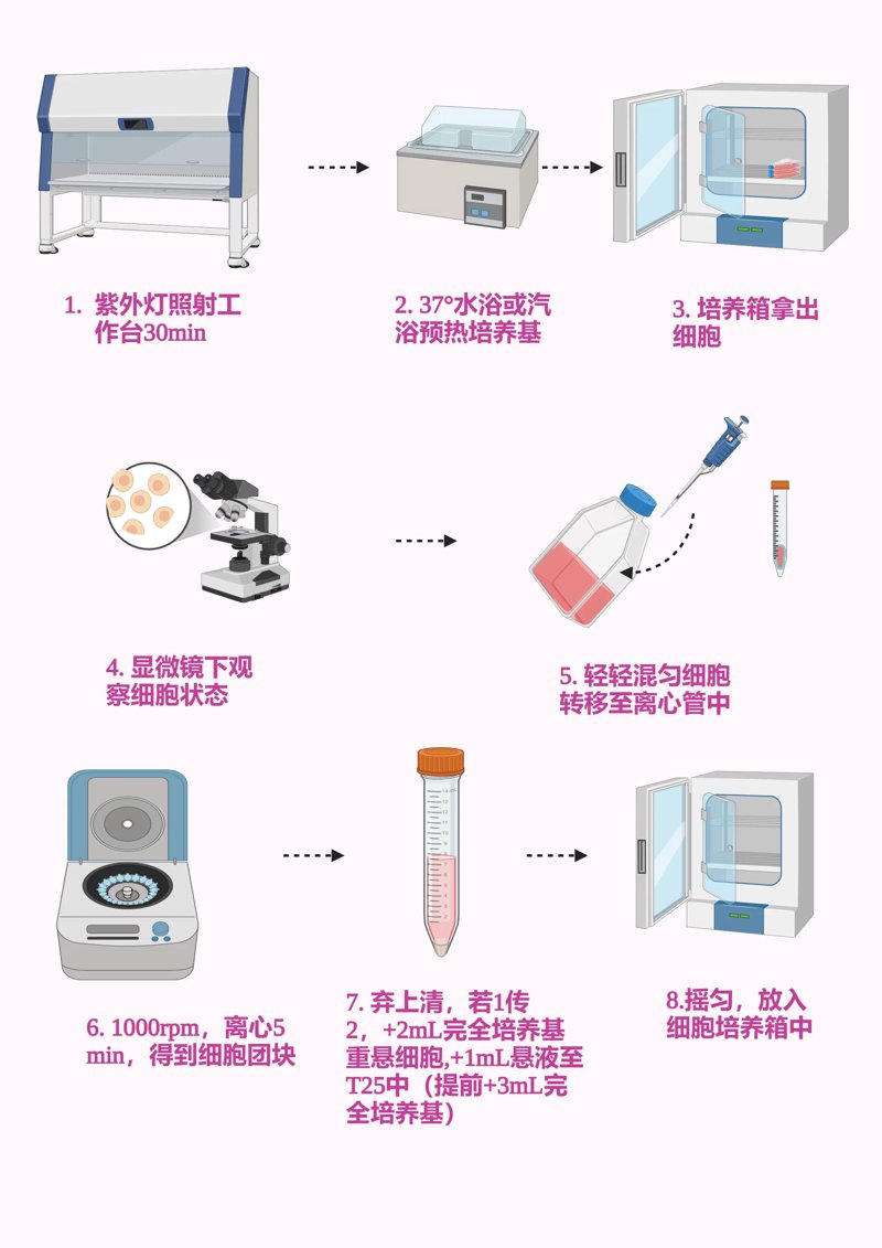 检验检疫技术中心：未来趋势与发展方向解析